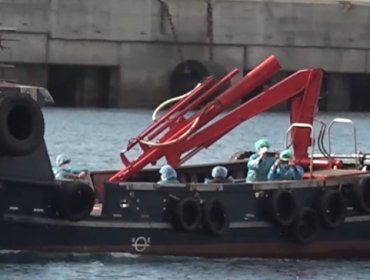 Crucero del hanta llegó a Tenerife y comenzó evacuación de 150 personas a bordo