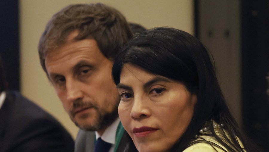 Rafael Araos renuncia al cargo de subsecretario de Ciencia tras diferencias con la ministra Lincolao