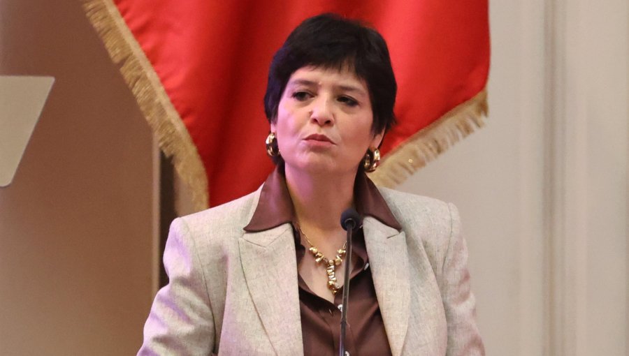 Defensora nacional cuestiona proyecto de "Ley Sin Escape" del Gobierno: "No se puede defender a alguien que no existe"