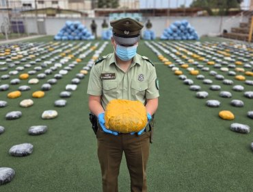 Histórico decomiso: Incautan 2,7 toneladas de drogas en Calama y sectores fronterizos