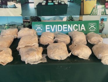 Detienen a pasajero de bus en Nogales con casi 15 kilos de marihuana en su equipaje
