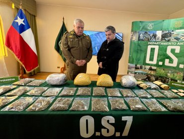 Más de 181 kilos de droga han sido decomisados en la región de La Araucanía durante este año