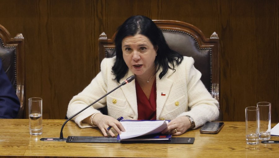 Ministra Steinert presenta plan de seguridad con foco en fronteras, puertos y cárceles