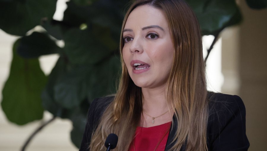 Servel rechaza gran parte de los gastos de campaña de Camila Flores, pero senadora acusa omisión de antecedentes clave