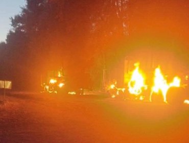 Ataque incendiario deja dos camiones forestales quemados en un fundo en Victoria