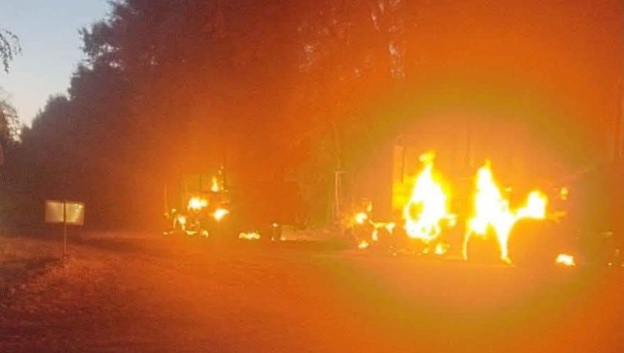 Ataque incendiario deja dos camiones forestales quemados en un fundo en Victoria