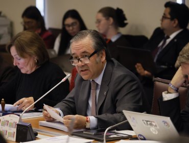 Diputado Romero: "Cumplimos" pese al "circo de indicaciones y peleas políticas"