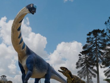 Nagatitán: Identifican un nuevo dinosaurio gigante a partir de fósiles en el noreste de Tailandia