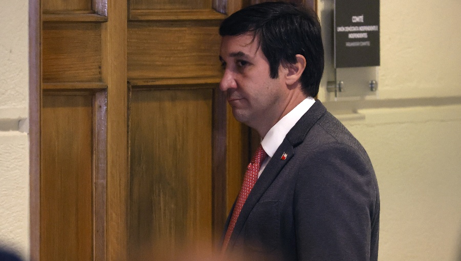 Presidente de la UDI respalda a ministra Steinert y descarta improvisación en seguridad