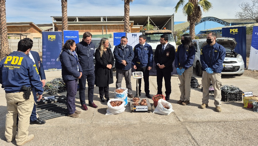 Cayó banda narco que también robaba cables de cobre en la Región de Coquimbo