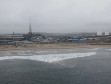 Publicación científica evidenció altos niveles de metales pesados en especies marinas de consumo humano en Quintero-Puchuncaví