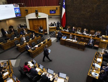 Senado aprueba en general el proyecto "Escuelas Protegidas": este martes se votará el articulado