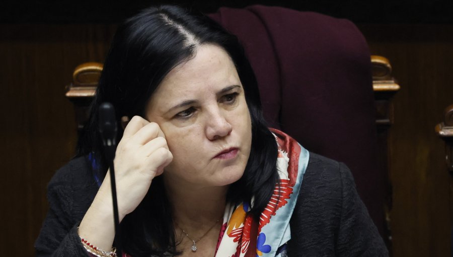 Ministra Steinert reitera que "existe" el plan de seguridad, pero admite que "nos falta poder sociabilizar más"