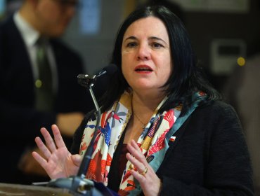 Ministra Steinert tras tercer operativo en Temucuicui: "Estamos recuperando el control del territorio"