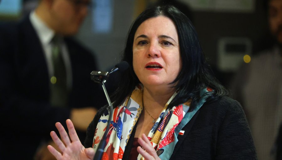 Ministra Steinert tras tercer operativo en Temucuicui: "Estamos recuperando el control del territorio"