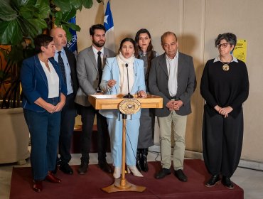 Senadora Cariola por megarreforma: "No estamos dispuestos a entregar un regalo tributario a los súper ricos"