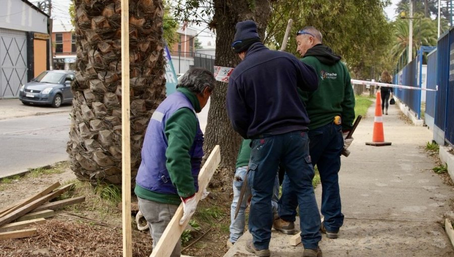 Municipio de Limache inicia reparación de veredas para mejorar seguridad peatonal