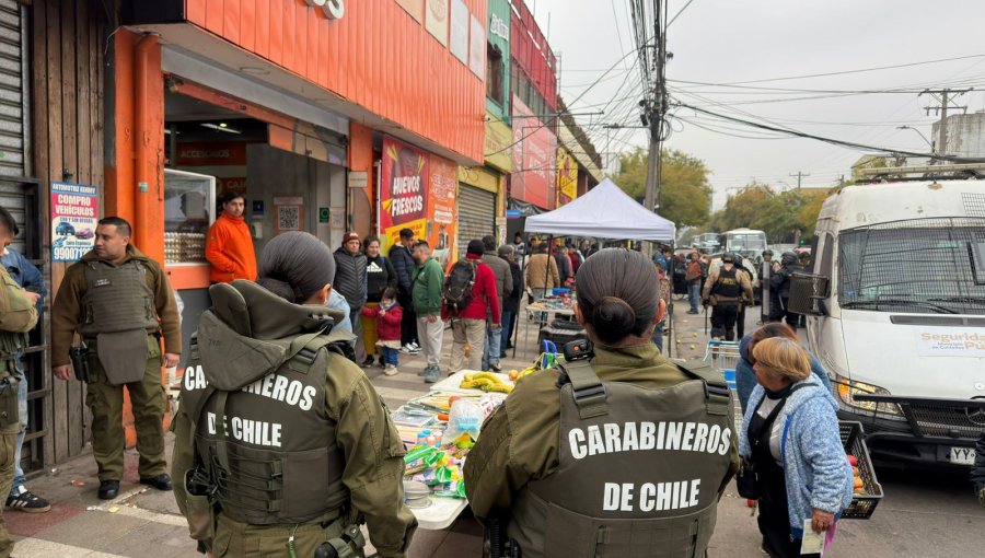 «Ronda Impacto» termina con 15 personas detenidas y el decomiso de más de 2 mil especies del comercio ilegal de Viña del Mar