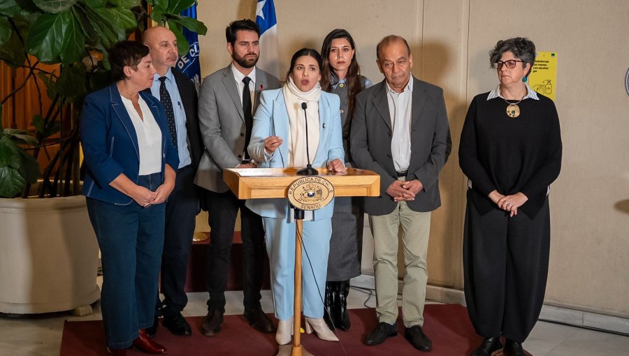 Senadora Cariola por megarreforma: "No estamos dispuestos a entregar un regalo tributario a los súper ricos"