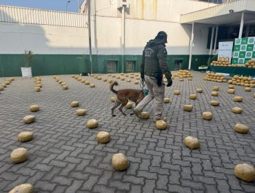 Golpe al narcotráfico en Hijuelas: incautan cerca de 385 kilos de marihuana que viajaban desde el norte a la región de Valparaíso