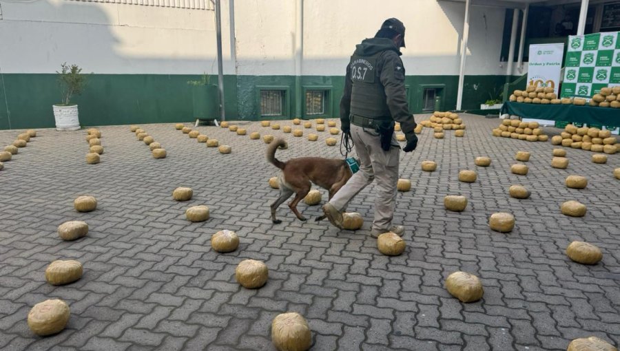 Golpe al narcotráfico en Hijuelas: incautan cerca de 385 kilos de marihuana que viajaban desde el norte a la región de Valparaíso