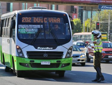 Vecinos de Forestal se rebelan contra nueva licitación del transporte en el Gran Valparaíso y buscan frenar adjudicación de Viña Bus