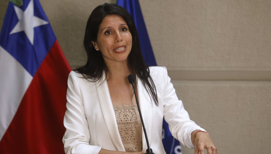"El Senado no es un buzón": Senadora Gatica sube el tono contra Hacienda por ley de reconstrucción y recortes en salud