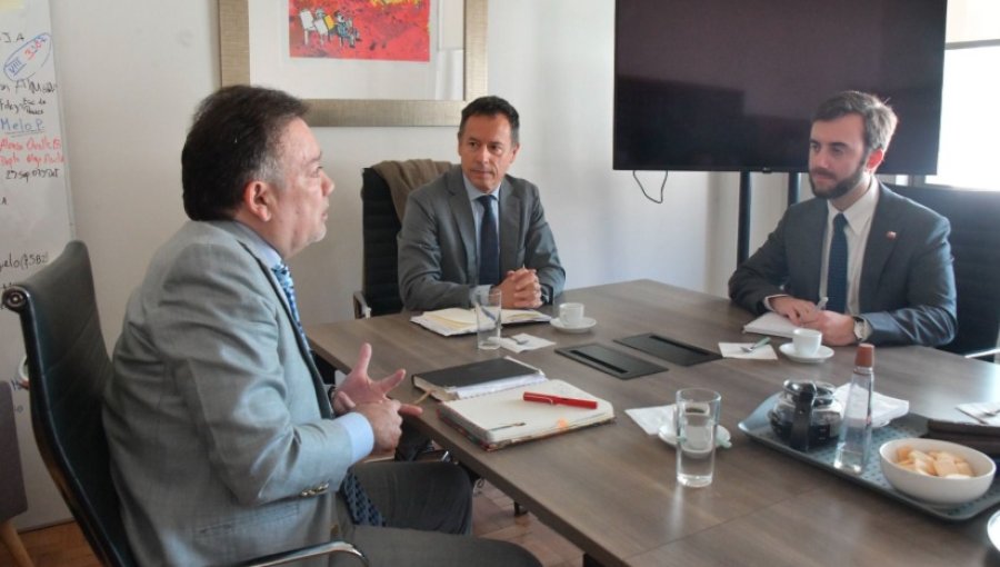 Adopciones irregulares en Suecia: Juez de la Corte de Santiago y Cancillería revisan el avance de 151 causas
