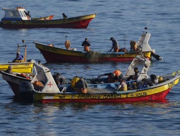 Pescadores artesanales de la región de Valparaíso inician paralización indefinida por crisis de la jibia y alza de combustibles