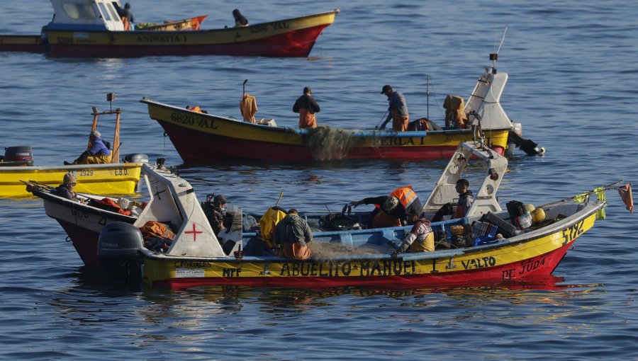 Pescadores artesanales de la región de Valparaíso inician paralización indefinida por crisis de la jibia y alza de combustibles