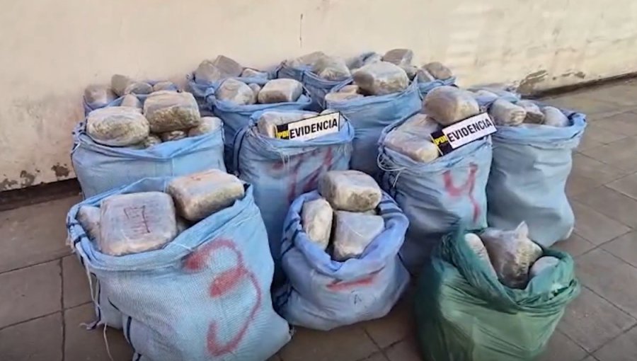 Detienen a tres colombianos y un venezolano por tráfico: trasladaban drogas desde Bolivia hacia Chile por pasos no habilitados