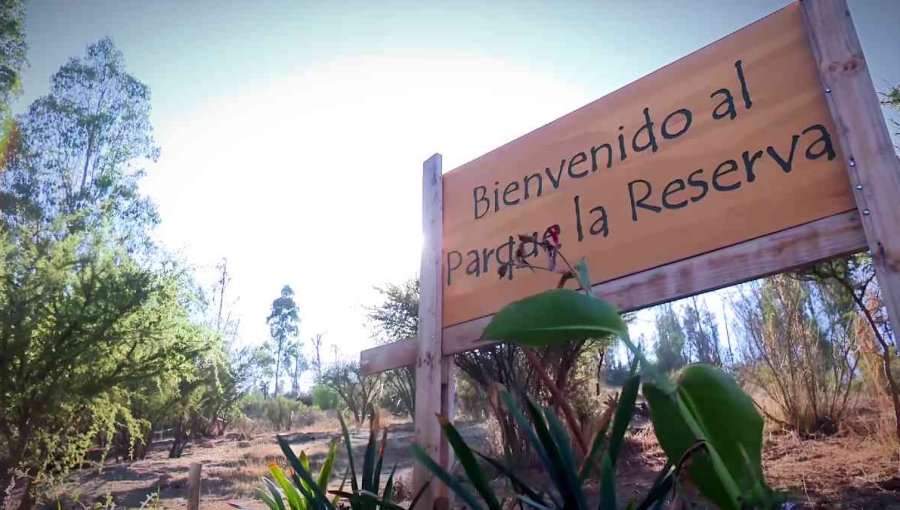 Proyecto de primer Parque Metropolitano en Villa Alemana recibe fuerte espaldarazo del Gobierno Regional de Valparaíso