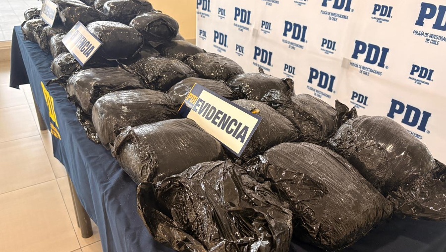Histórica incautación en Aysén: decomisan casi 40 kilos de marihuana a clan familiar