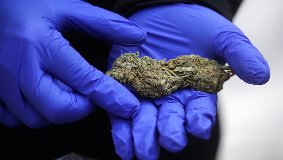 PDI intercepta más de 91 kilos de marihuana que iban a ser distribuidos en Valparaíso