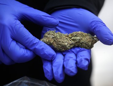 PDI intercepta más de 91 kilos de marihuana que iban a ser distribuidos en Valparaíso