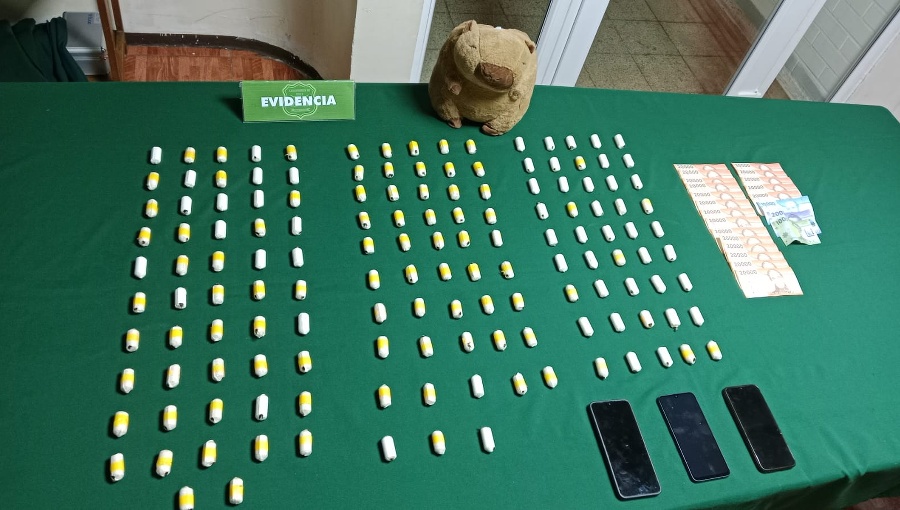 Dos mujeres escondían ovoides de cocaína en un tierno peluche de capibara
