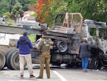 Presidente de Corma por atentados forestales: “¿Quién va a invertir si te pueden quemar?"