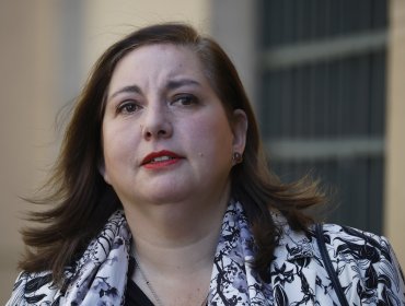 Vodanovic cuestiona propuestas en materia de seguridad anunciadas por Kast: "El Plan Retorno parece ser el Plan Devuélvase Solo"