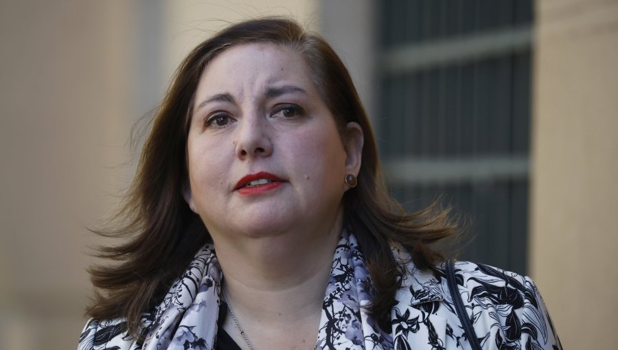 Vodanovic cuestiona propuestas en materia de seguridad anunciadas por Kast: "El Plan Retorno parece ser el Plan Devuélvase Solo"