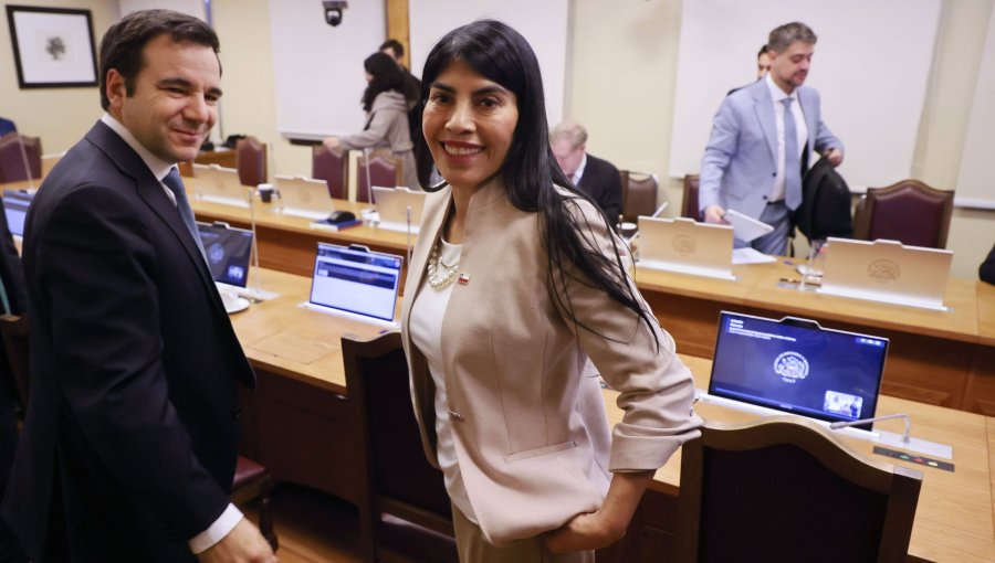 Ministra de Ciencia descarta despidos masivos y defiende suspensión de becas en el extranjero