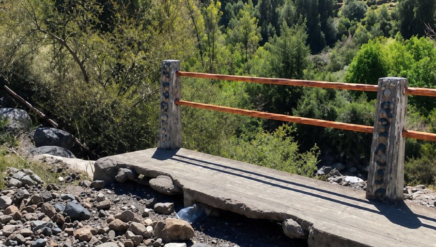 Contraloría alerta falencias en control y gestión del MOP por daños en puentes de la red vial pública del país