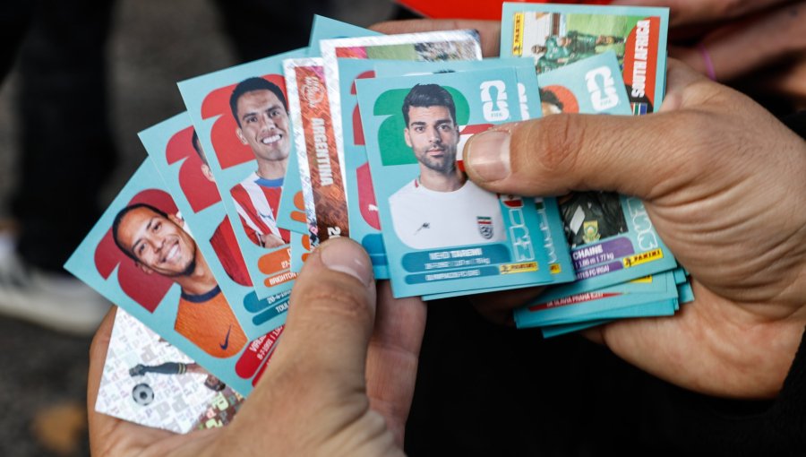 «Panini Fest»: la fiebre por el álbum del Mundial 2026 llega a Villa Alemana con inédito evento oficial en parque municipal