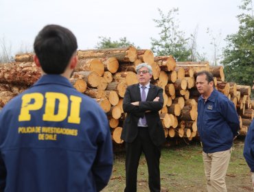 Cae la mayor asociación criminal dedicada al robo de madera en Ñuble