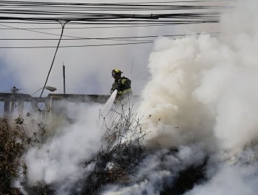«Invierno sin incendios»: Lanzan campaña para prevenir emergencias y proteger el patrimonio de la comuna de Valparaíso