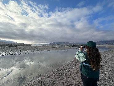 SAG confirma primer caso de gripe aviar en Atacama: ya son 12 las regiones afectadas