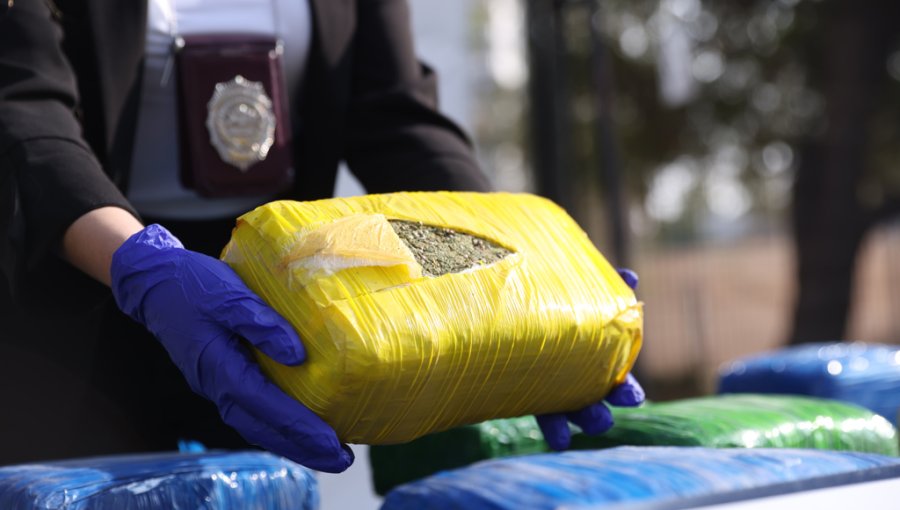 Mujer fue sorprendida transportando casi 9 kilos de droga entre Viña del Mar y Valparaíso: terminó en prisión preventiva