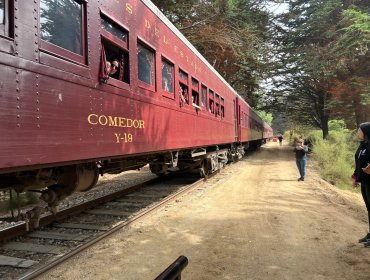 Tren del Recuerdo regresa con viaje turístico entre las estaciones Limache y Ritoque