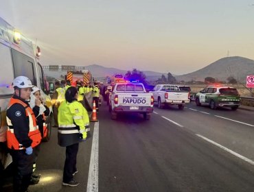 Investigan muerte de hombre que fue atropellado en la ruta 5 Norte de Papudo