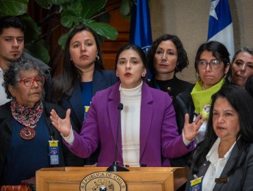 Sesión solicitada por senadora Cariola marca avance para el Van Buren: “No puede volver a ser una promesa incumplida”