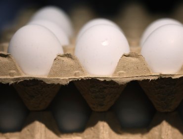 Sernac realiza reporte sobre etiquetado y características de los huevos: productos de gallinas felices no tienen definición legal